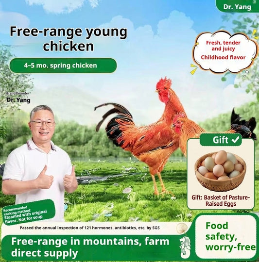 Free-Range Spring Chicken (4–5 mos) – Ideal for Light Simmering & Steaming